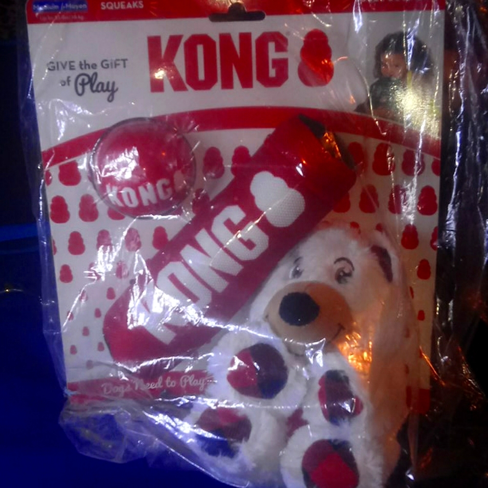 Kong dog toys